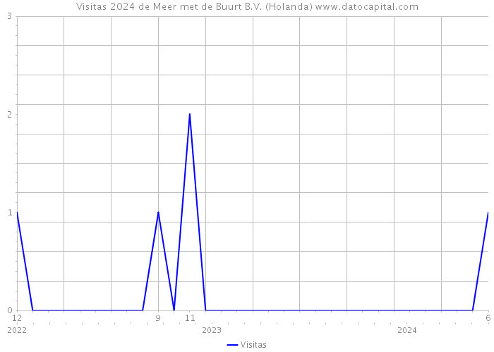 Visitas 2024 de Meer met de Buurt B.V. (Holanda) 