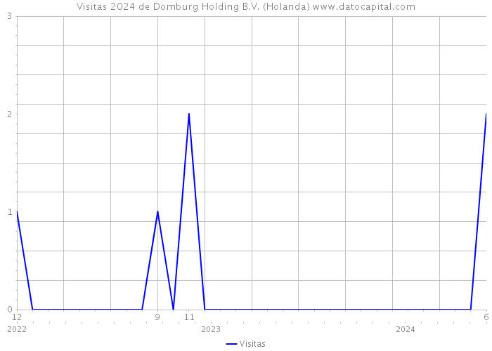 Visitas 2024 de Domburg Holding B.V. (Holanda) 