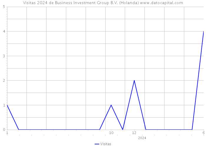 Visitas 2024 de Business Investment Group B.V. (Holanda) 