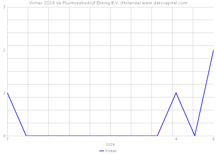 Visitas 2024 de Pluimveebedrijf Enting B.V. (Holanda) 