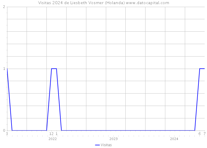 Visitas 2024 de Liesbeth Vosmer (Holanda) 