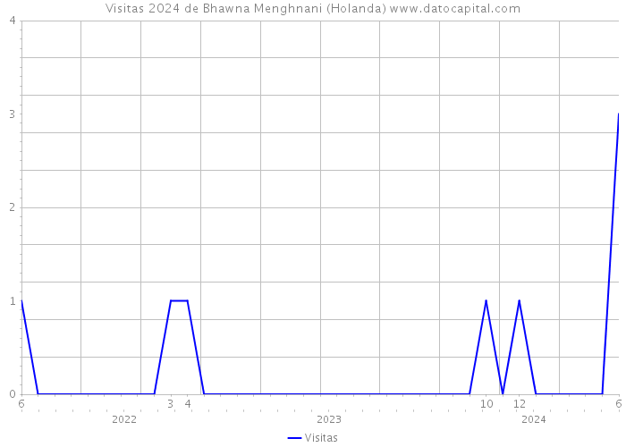 Visitas 2024 de Bhawna Menghnani (Holanda) 