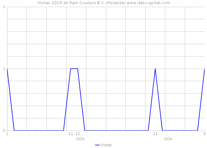 Visitas 2024 de Rain Couture B.V. (Holanda) 