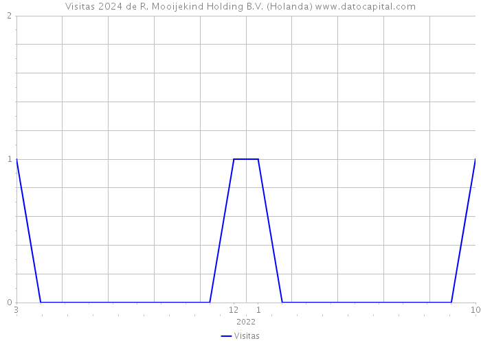 Visitas 2024 de R. Mooijekind Holding B.V. (Holanda) 