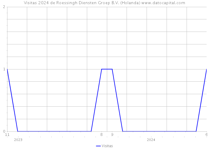 Visitas 2024 de Roessingh Diensten Groep B.V. (Holanda) 