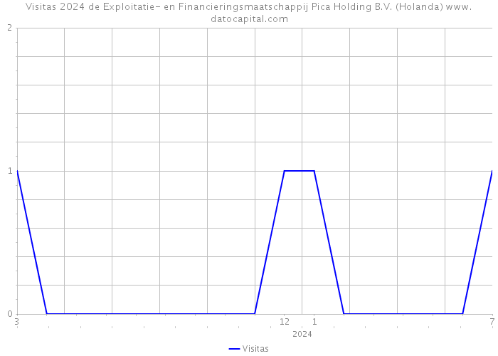 Visitas 2024 de Exploitatie- en Financieringsmaatschappij Pica Holding B.V. (Holanda) 