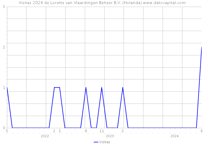 Visitas 2024 de Lorette van Vlaardingen Beheer B.V. (Holanda) 
