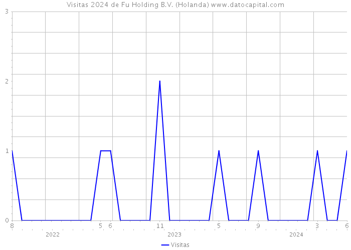 Visitas 2024 de Fu Holding B.V. (Holanda) 