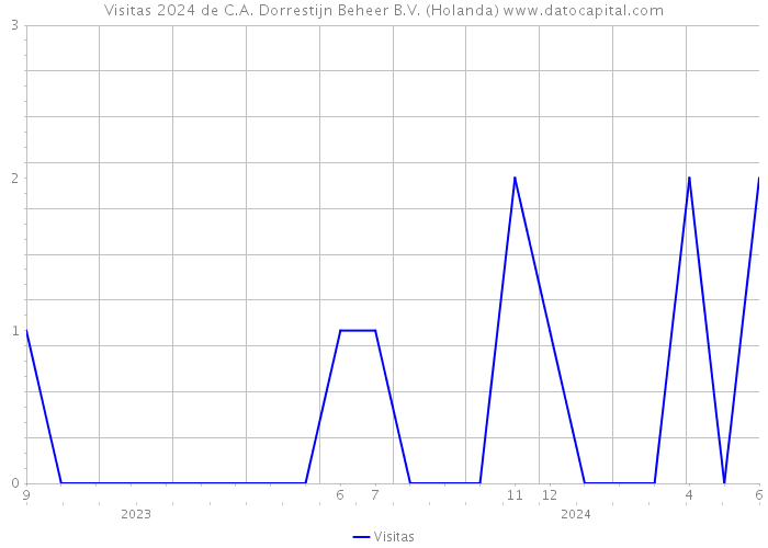 Visitas 2024 de C.A. Dorrestijn Beheer B.V. (Holanda) 