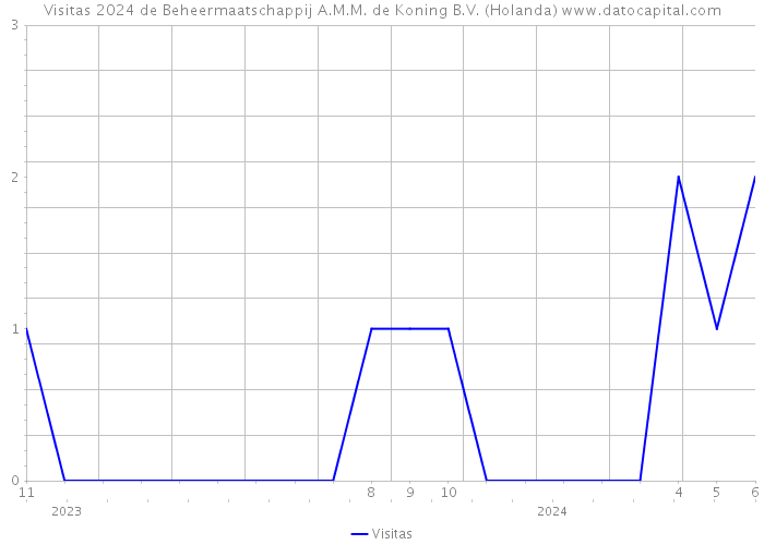 Visitas 2024 de Beheermaatschappij A.M.M. de Koning B.V. (Holanda) 