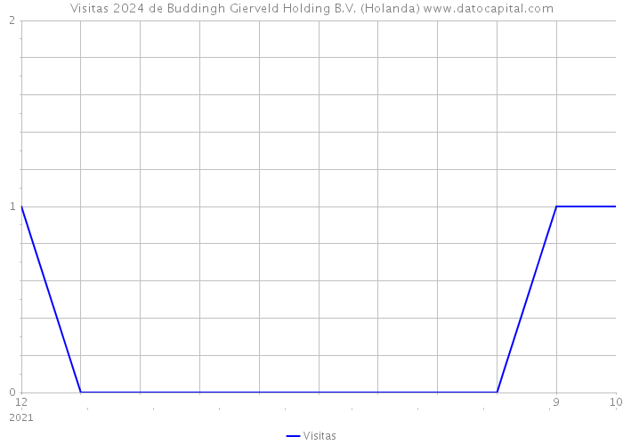 Visitas 2024 de Buddingh Gierveld Holding B.V. (Holanda) 