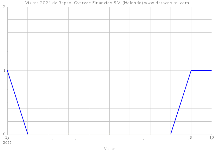 Visitas 2024 de Repsol Overzee Financien B.V. (Holanda) 