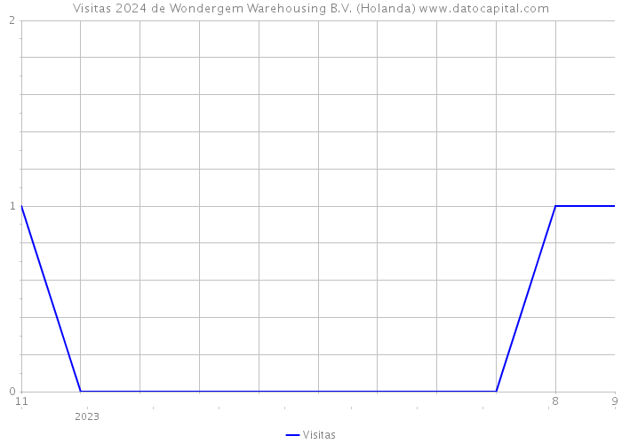 Visitas 2024 de Wondergem Warehousing B.V. (Holanda) 