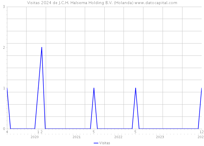 Visitas 2024 de J.C.H. Halsema Holding B.V. (Holanda) 