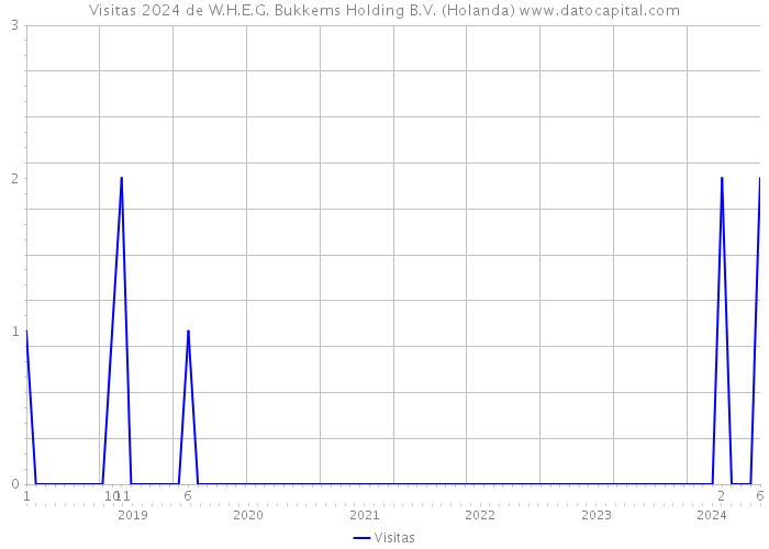 Visitas 2024 de W.H.E.G. Bukkems Holding B.V. (Holanda) 