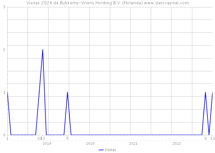 Visitas 2024 de Bukkems-Vriens Holding B.V. (Holanda) 