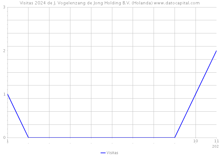 Visitas 2024 de J. Vogelenzang de Jong Holding B.V. (Holanda) 