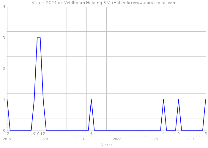 Visitas 2024 de Veldboom Holding B.V. (Holanda) 