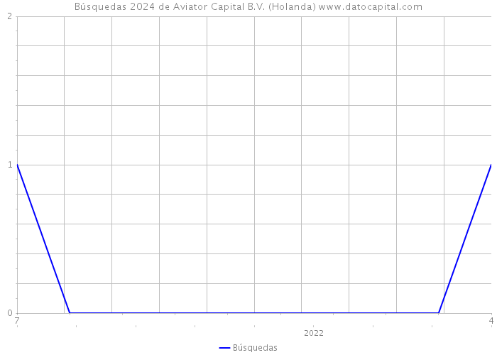 Búsquedas 2024 de Aviator Capital B.V. (Holanda) 