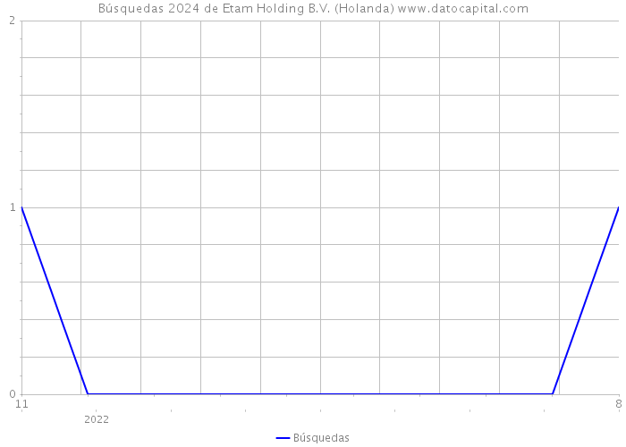 Búsquedas 2024 de Etam Holding B.V. (Holanda) 