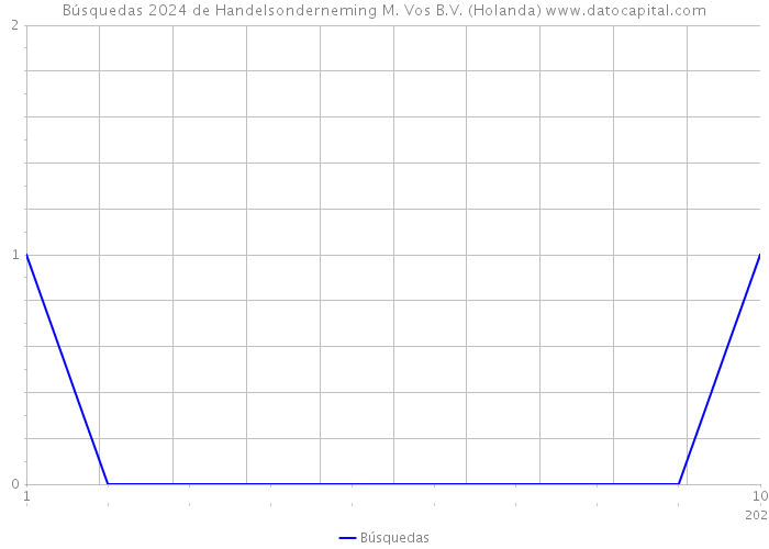 Búsquedas 2024 de Handelsonderneming M. Vos B.V. (Holanda) 