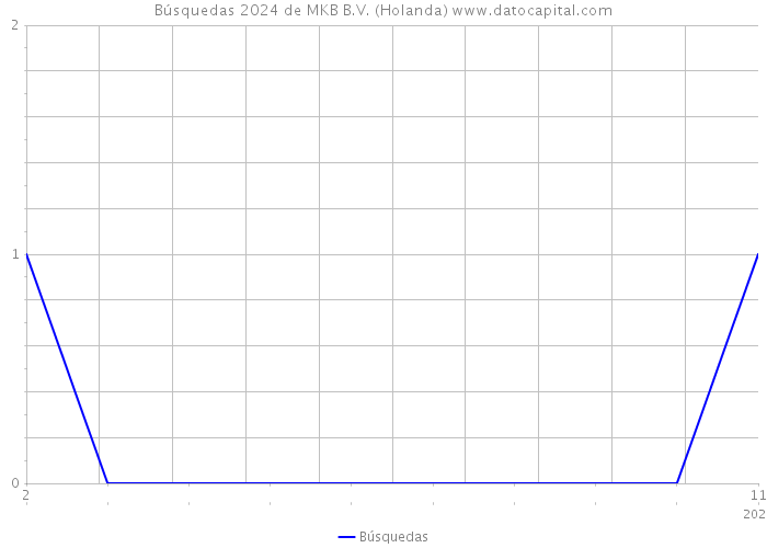 Búsquedas 2024 de MKB B.V. (Holanda) 