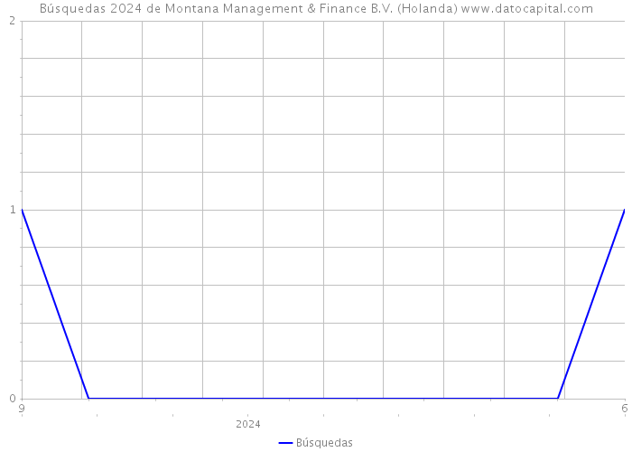Búsquedas 2024 de Montana Management & Finance B.V. (Holanda) 