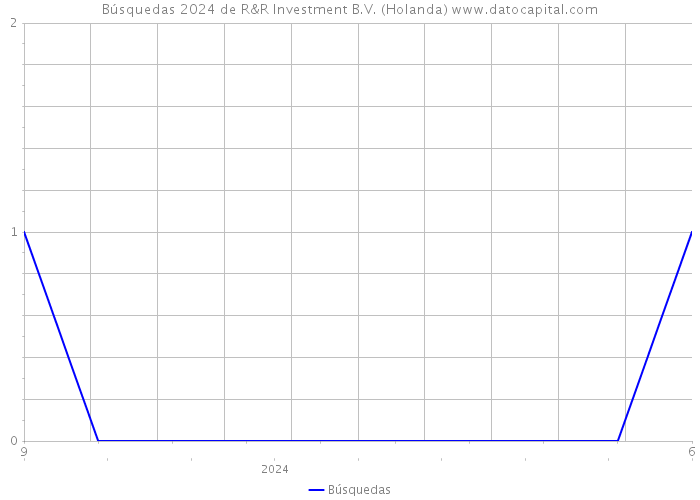 Búsquedas 2024 de R&R Investment B.V. (Holanda) 