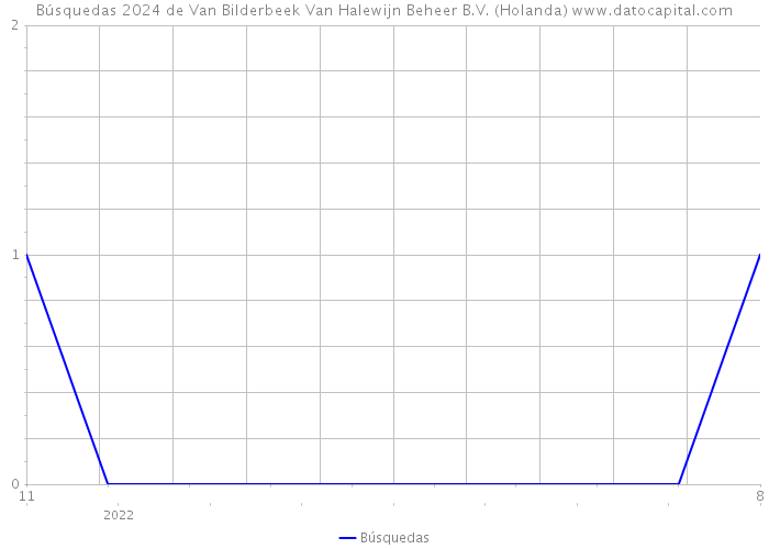 Búsquedas 2024 de Van Bilderbeek Van Halewijn Beheer B.V. (Holanda) 