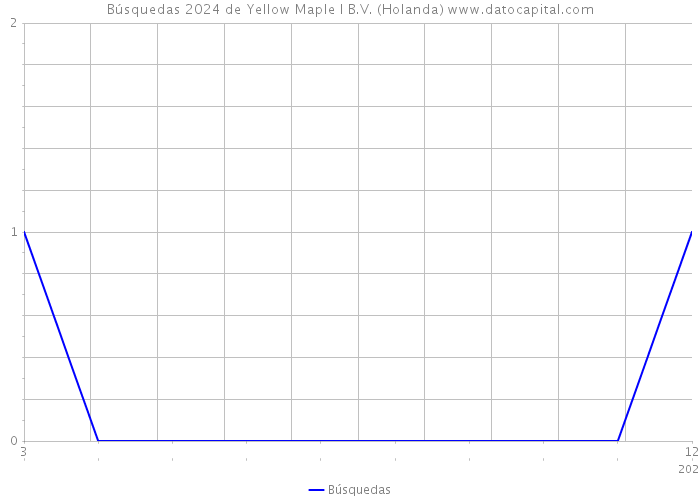 Búsquedas 2024 de Yellow Maple I B.V. (Holanda) 