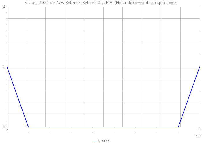 Visitas 2024 de A.H. Beltman Beheer Olst B.V. (Holanda) 