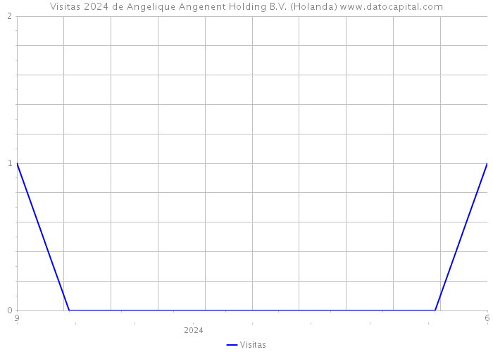 Visitas 2024 de Angelique Angenent Holding B.V. (Holanda) 