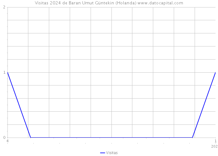 Visitas 2024 de Baran Umut Güntekin (Holanda) 