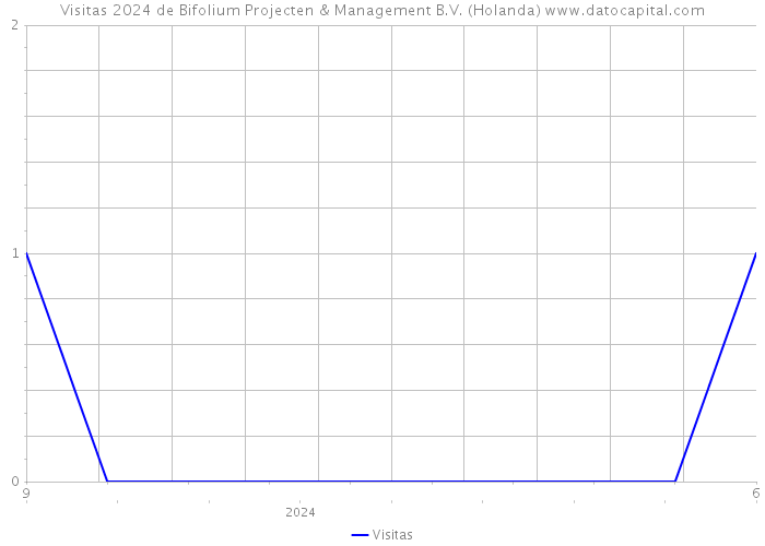 Visitas 2024 de Bifolium Projecten & Management B.V. (Holanda) 