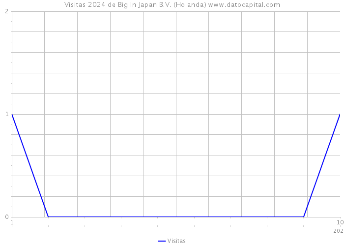 Visitas 2024 de Big In Japan B.V. (Holanda) 