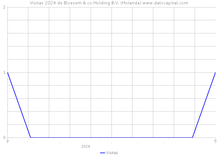 Visitas 2024 de Bloesem & co Holding B.V. (Holanda) 