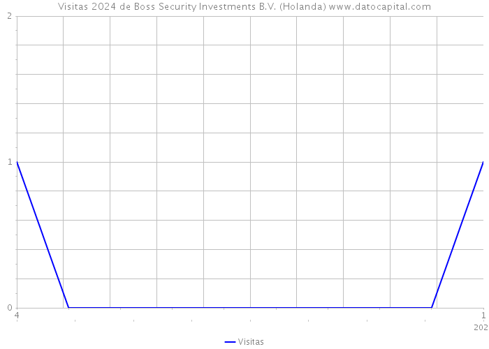 Visitas 2024 de Boss Security Investments B.V. (Holanda) 