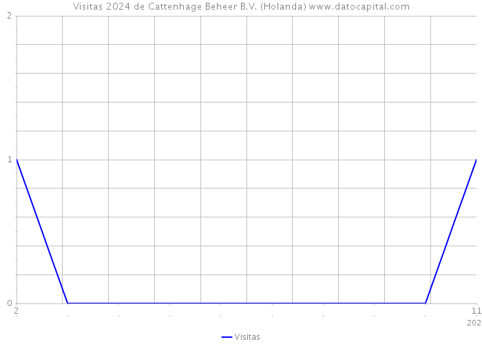 Visitas 2024 de Cattenhage Beheer B.V. (Holanda) 