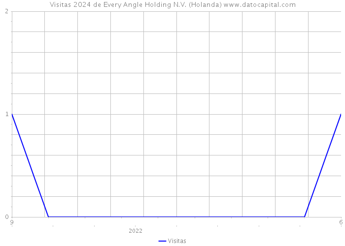 Visitas 2024 de Every Angle Holding N.V. (Holanda) 