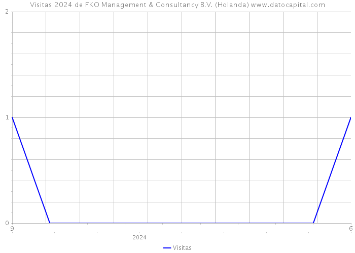 Visitas 2024 de FKO Management & Consultancy B.V. (Holanda) 