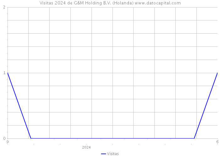 Visitas 2024 de G&M Holding B.V. (Holanda) 