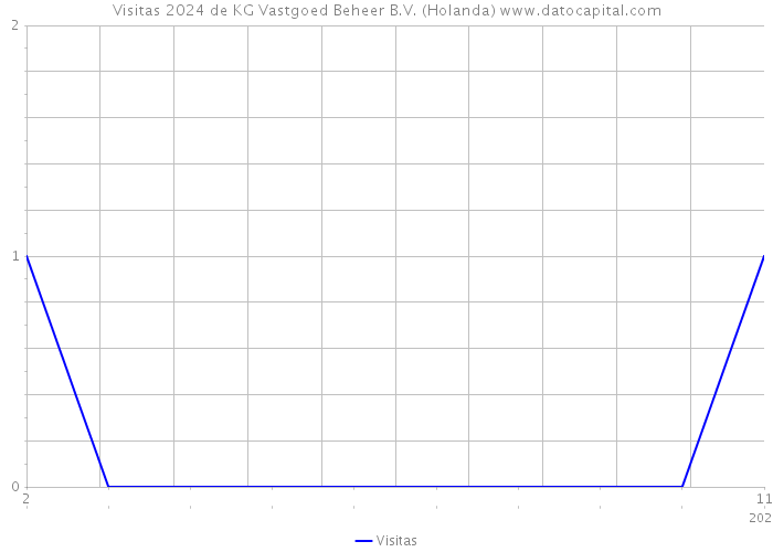 Visitas 2024 de KG Vastgoed Beheer B.V. (Holanda) 