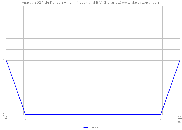 Visitas 2024 de Keijsers-T.E.F. Nederland B.V. (Holanda) 