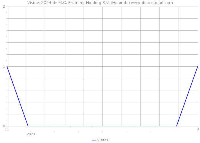 Visitas 2024 de M.G. Bruining Holding B.V. (Holanda) 