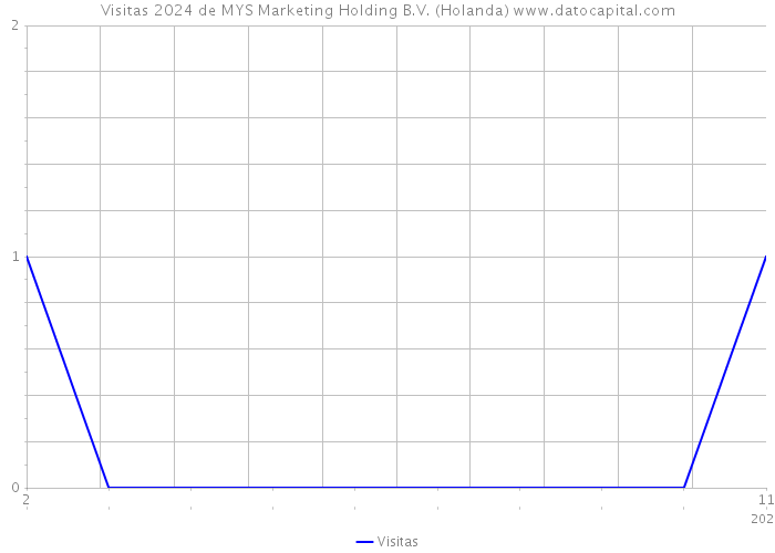 Visitas 2024 de MYS Marketing Holding B.V. (Holanda) 