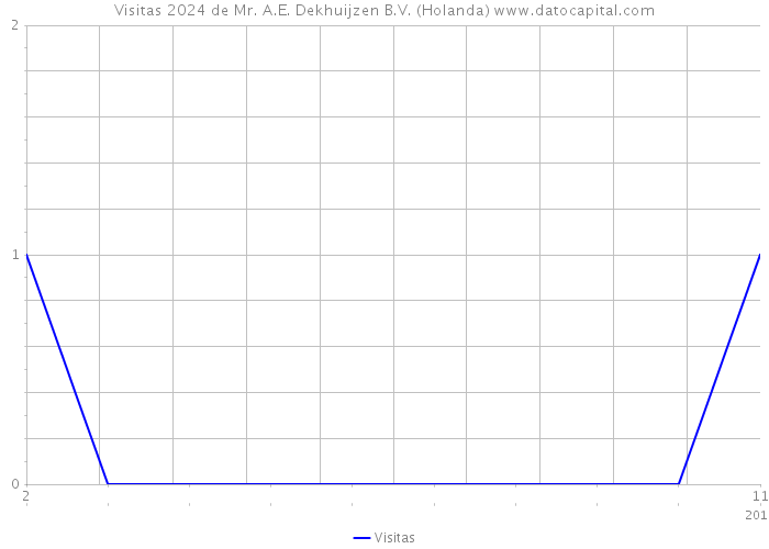 Visitas 2024 de Mr. A.E. Dekhuijzen B.V. (Holanda) 