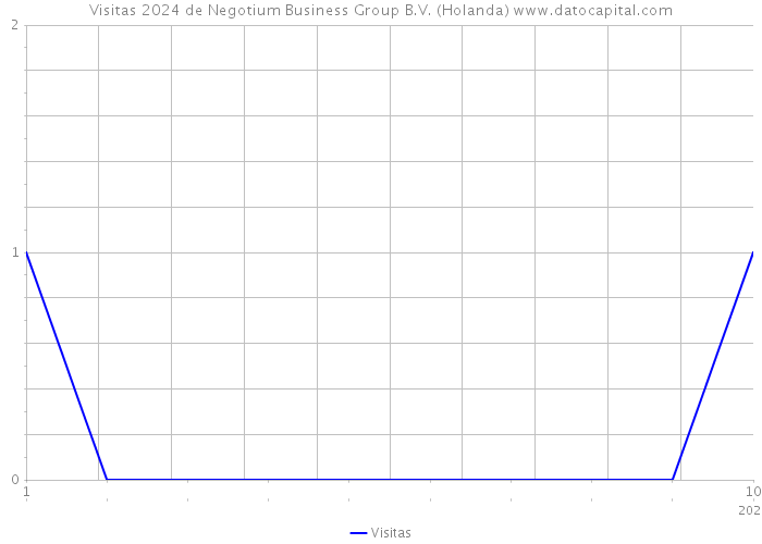 Visitas 2024 de Negotium Business Group B.V. (Holanda) 