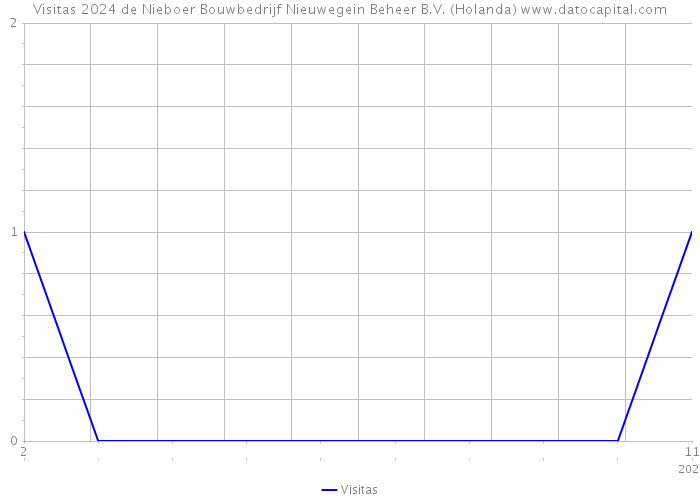 Visitas 2024 de Nieboer Bouwbedrijf Nieuwegein Beheer B.V. (Holanda) 