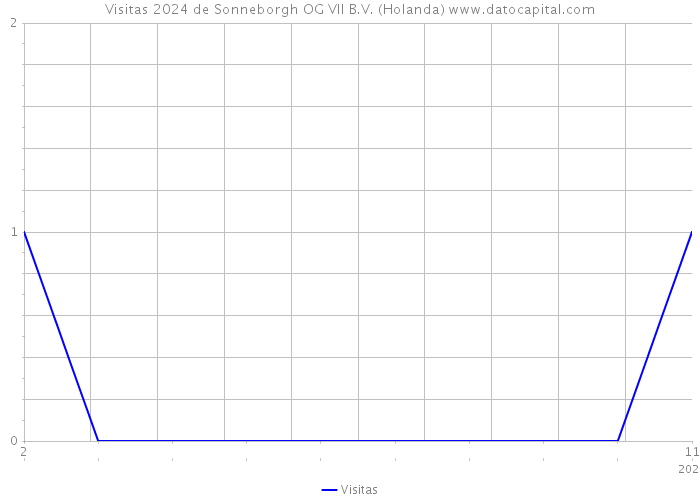 Visitas 2024 de Sonneborgh OG VII B.V. (Holanda) 