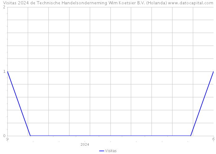 Visitas 2024 de Technische Handelsonderneming Wim Koetsier B.V. (Holanda) 